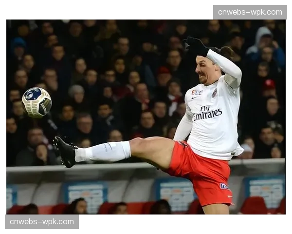 法甲裁判委员会内部简报,强调对“转换有利”原则的一致性把握 法甲裁判委员会内部简报,强调对“转换有利”原则的一致性把握